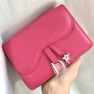 Dior saddle makeup bag